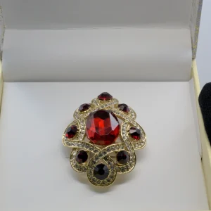 Charter Club Gold-Tone Red Stone Infinity Pin displayed in its box